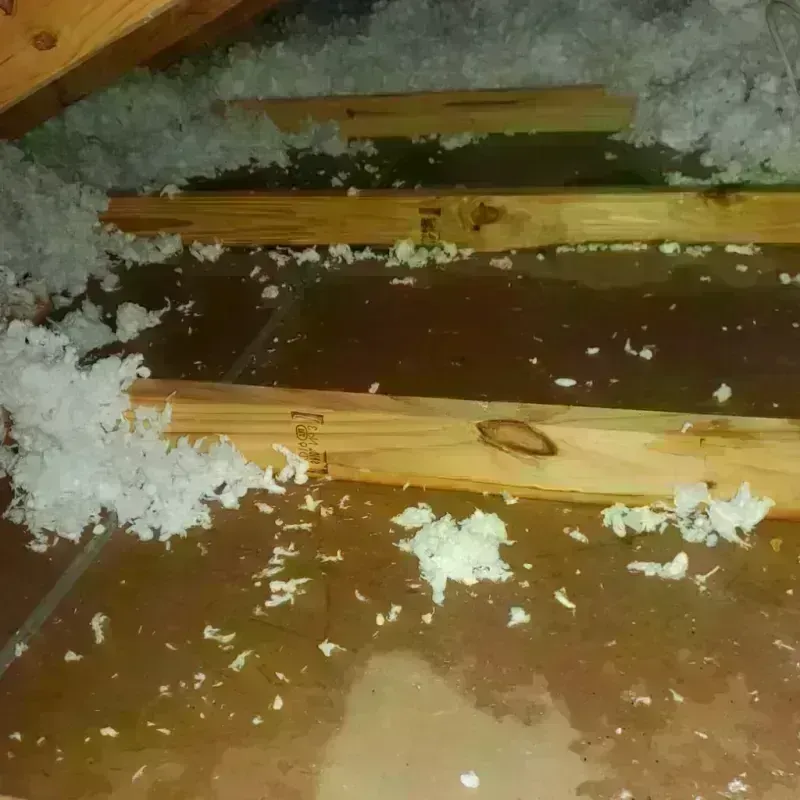 Attic Water Damage in Anza, CA