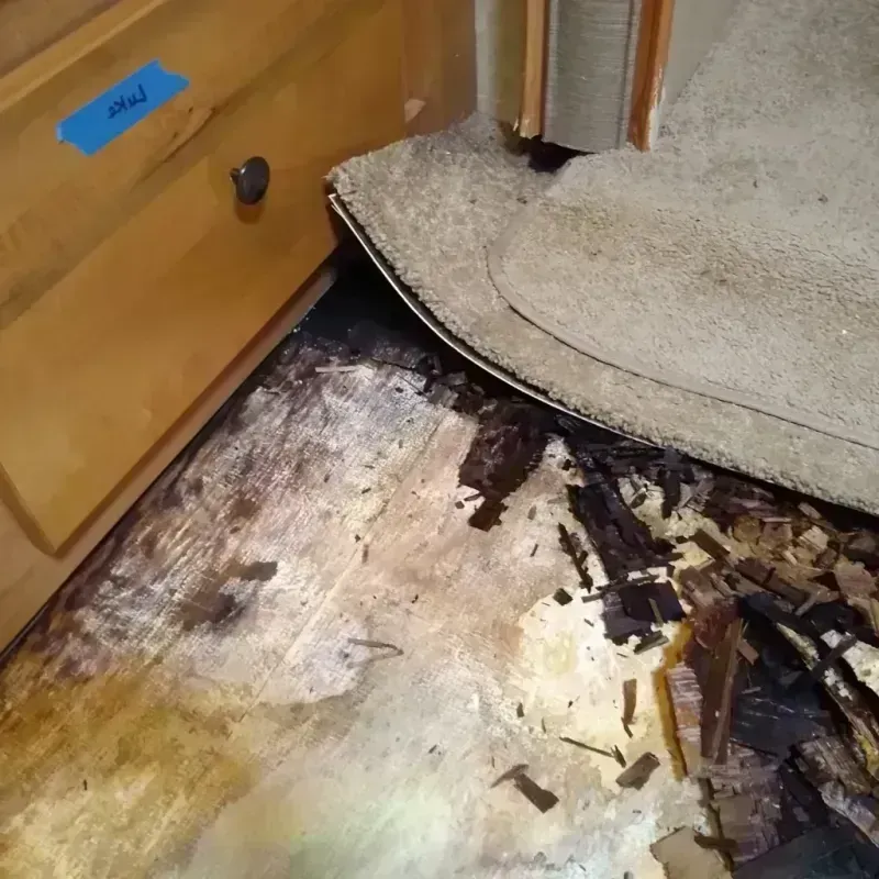 Wood Floor Water Damage in Anza, CA